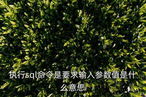 執(zhí)行sql命令是要求輸入?yún)?shù)值是什么意思