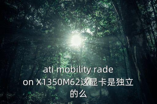 M62，ati mobility radeon X1350M62這顯卡是獨(dú)立的么