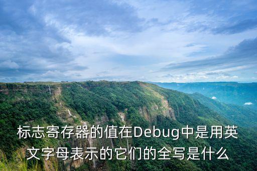 標(biāo)志寄存器，標(biāo)志寄存器中CF標(biāo)志位的主要作用是