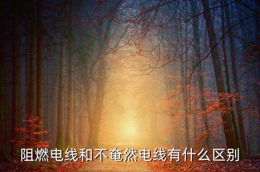 阻燃電線和不奄然電線有什么區(qū)別