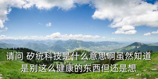 請問 矽統(tǒng)科技是什么意思啊雖然知道是別這么健康的東西但還是想