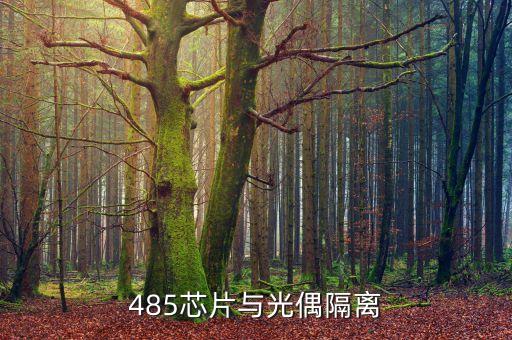 485芯片與光偶隔離