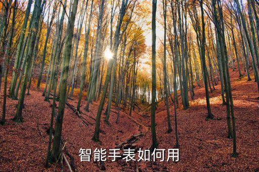 智能手表如何用