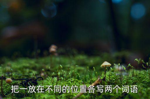 把一，把一放在不同的位置各寫兩個詞語