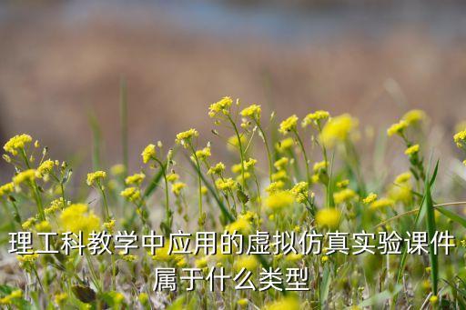理工科教學中應用的虛擬仿真實驗課件屬于什么類型