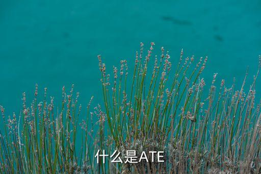 ate測試，ATE自動測試
