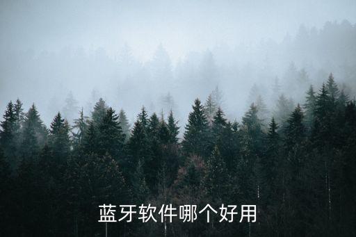 藍(lán)牙軟件哪個(gè)好用