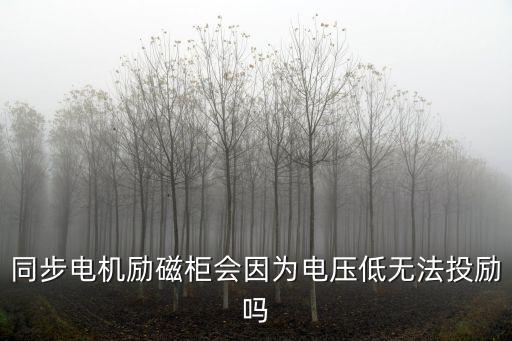 同步電機勵磁柜會因為電壓低無法投勵嗎