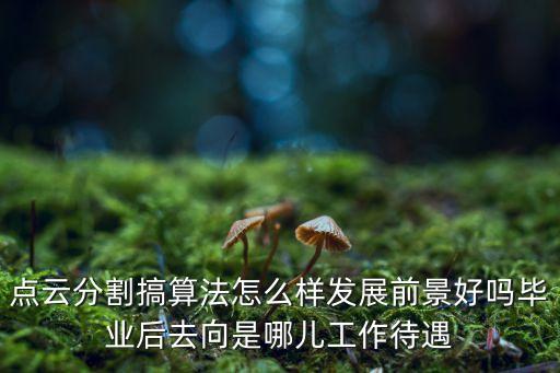 點(diǎn)云分割，點(diǎn)云分割搞算法怎么樣發(fā)展前景好嗎畢業(yè)后去向是哪兒工作待遇