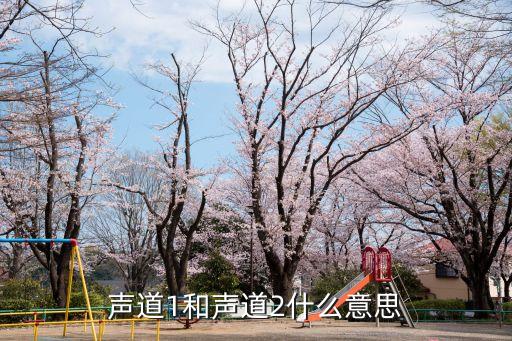 雙聲道是什么意思，聲道1和聲道2什么意思