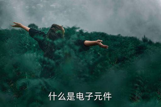 電子元件，什么是電子元件
