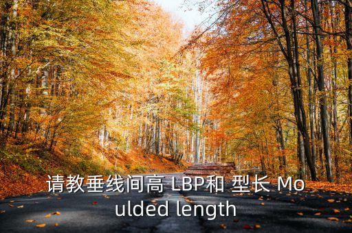 請(qǐng)教垂線間高 LBP和 型長(zhǎng) Moulded length