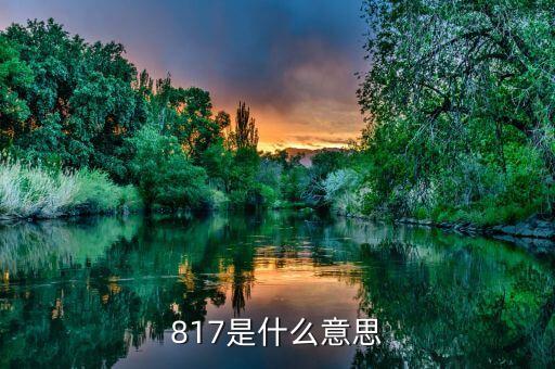 817是什么意思，817什么意思