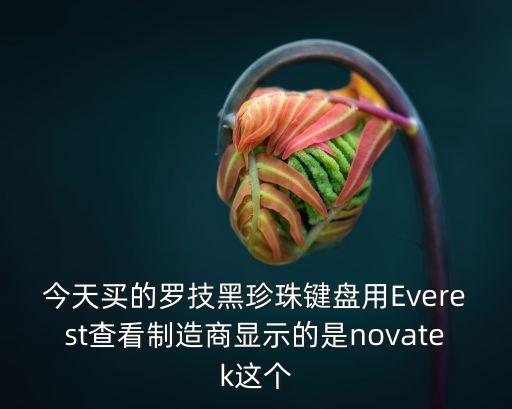 今天買(mǎi)的羅技黑珍珠鍵盤(pán)用Everest查看制造商顯示的是novatek這個(gè)