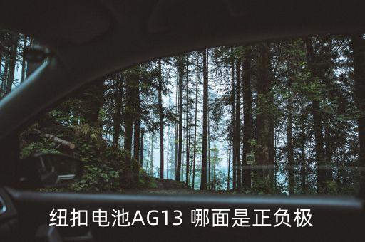 紐扣電池AG13 哪面是正負(fù)極