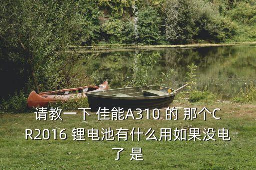 請(qǐng)教一下 佳能A310 的 那個(gè)CR2016 鋰電池有什么用如果沒(méi)電了 是