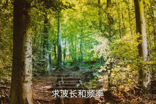波長怎么求，求波長和頻率