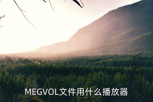 megvii，曠視科技開發(fā)的人工智能Megvii Cloud面向人群是哪些