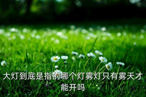 大燈是什么燈，大燈到底是指的哪個(gè)燈霧燈只有霧天才能開嗎