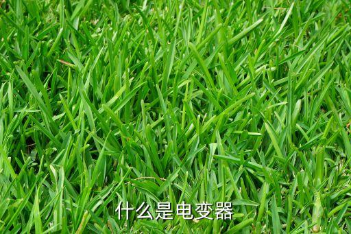 什么是電變器