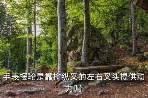 手表擺輪是靠擒縱叉的左右叉頭提供動力嗎