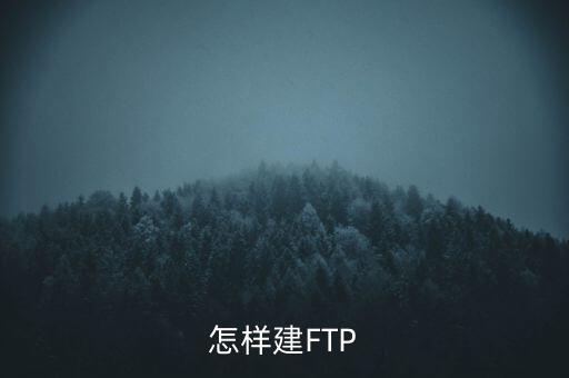 怎樣建FTP