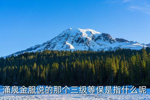 涌泉金服說的那個三級等保是指什么呢