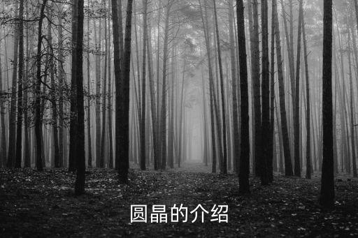 晶圓，集成電路晶圓是什么