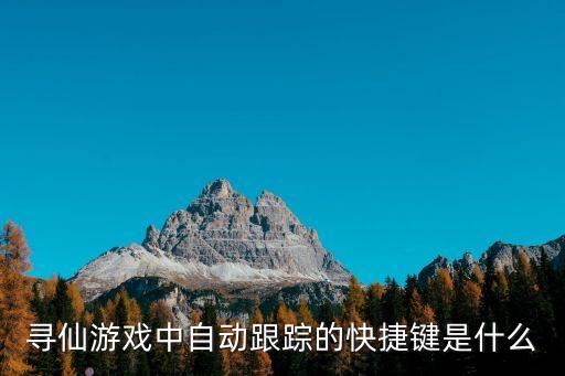 尋仙游戲中自動跟蹤的快捷鍵是什么