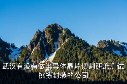 武漢有沒有做半導(dǎo)體晶片切割研磨測試挑揀封裝的公司