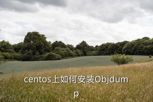 centos上如何安裝Objdump