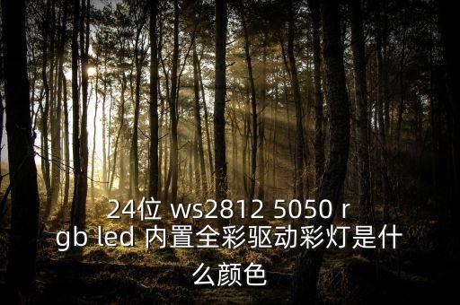 24位 ws2812 5050 rgb led 內(nèi)置全彩驅(qū)動(dòng)彩燈是什么顏色