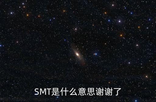 SMT是什么意思謝謝了