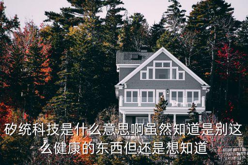 矽統(tǒng)科技是什么意思啊雖然知道是別這么健康的東西但還是想知道