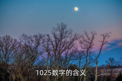 1025，1025數(shù)字的含義