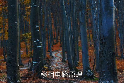 移相電路原理