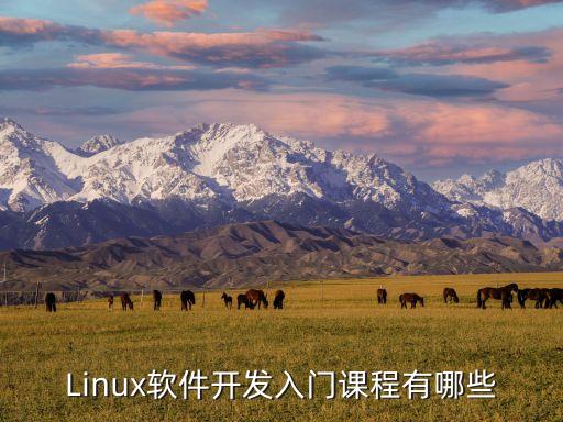 linux開發(fā)，Linux軟件開發(fā)入門課程有哪些