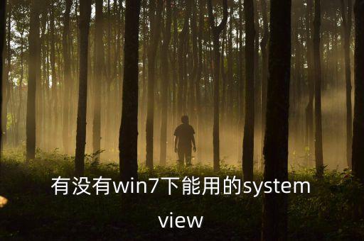 systemview，systemview文件為何保存不了