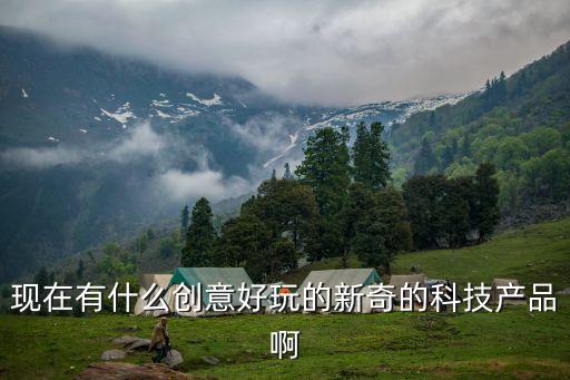現(xiàn)在有什么創(chuàng)意好玩的新奇的科技產(chǎn)品啊