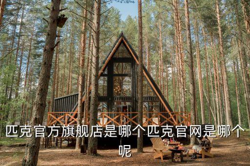 匹克官方旗艦店是哪個匹克官網(wǎng)是哪個呢