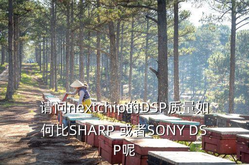 請問nextchip的DSP質(zhì)量如何比SHARP 或者SONY DSP呢