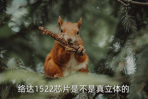 絡(luò)達(dá)1522芯片是不是真立體的