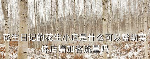 花生小店，什么是花生小店