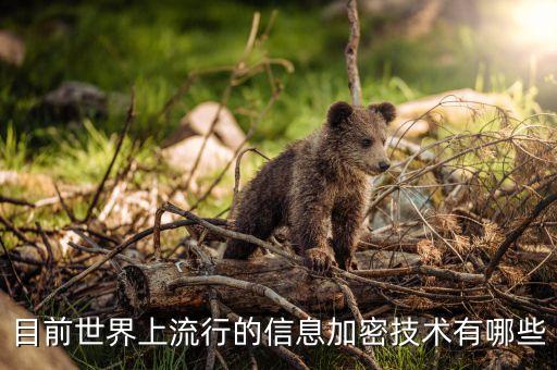 國密算法有哪些，請問數(shù)據(jù)網(wǎng)絡中的縱向加密是什么其原理是什么其加密安全程度如