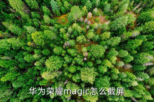 榮耀截屏怎么截，華為榮耀手機(jī)圖片截圖怎么操作