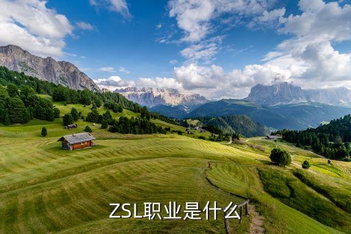 ZSL職業(yè)是什么
