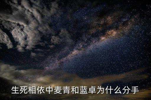 藍(lán)卓，什么是藍(lán)卓