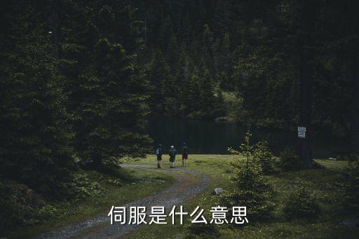 伺服，伺服是什麼意思