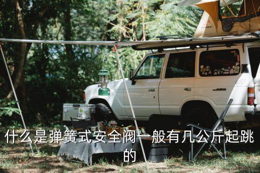 安全閥結(jié)構(gòu)，安全閥起什么作用