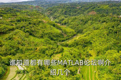 matlab論壇，誰知道都有哪些MATLAB論壇啊介紹幾個
